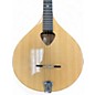 Used Gold Tone BZ-500 Natural Mandolin