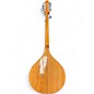Used Gold Tone BZ-500 Natural Mandolin