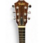 Used Taylor GS Mini Mahogany Mahogany Acoustic Guitar