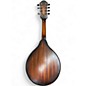 Used 2015 Washburn M106swk Antique Natural Mandolin
