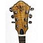 Used Michael Kelly Hybrid Special Spalted Maple Hollow Body Electric Guitar