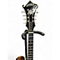 Used Weber YELLOWSTONE Tobacco Burst Mandolin
