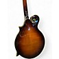 Used Weber YELLOWSTONE Tobacco Burst Mandolin