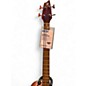 Used Breedlove ABJ250/SM4 Natural Acoustic Bass Guitar