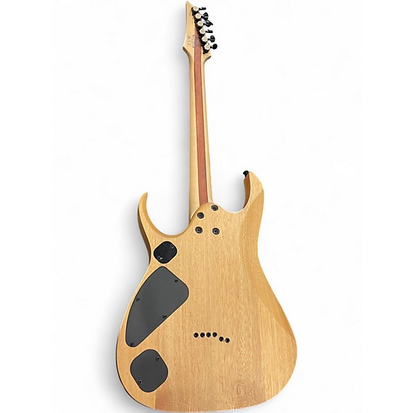 Used Ibanez RGDIX6PB Black Burl Burst Solid Body Electric Guitar