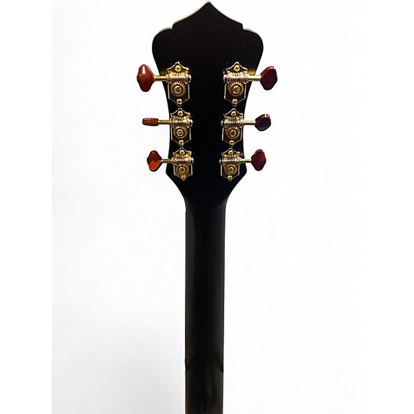 Used Recording King RK JUSTIN TOWNES EARLE Tobacco Burst Acoustic Guitar