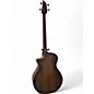 Used Breedlove PURSUIT EX S CONCERTO ACOUSTIC BASS Transparent Burst Acoustic Bass Guitar