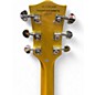 Used Firefly JSN FFDCD Gold Solid Body Electric Guitar
