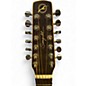 Used Seagull Coastline S12 AE Natural 12 String Acoustic Electric Guitar