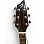 Used Breedlove Atlas Stage Series D25/SRE Dreadnought Natural Acoustic Electric Guitar