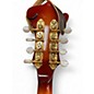 Used Danville MA-009 F5 2 Color Sunburst Mandolin