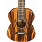 Used Taylor GS MINI-E KOA KOA Acoustic Electric Guitar thumbnail