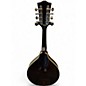 Used Gold Tone GM 50 Tobacco Burst Mandolin