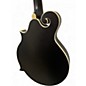 Used Luna moonbird Black and White Mandolin