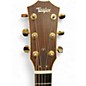 Used Taylor 816CE Natural Acoustic Electric Guitar