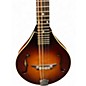 Used The Loar lm110 honey amber Mandolin