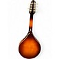 Used The Loar lm110 honey amber Mandolin