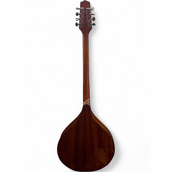 Used Gold Tone BZ500 Natural