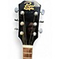 Used Rogue RD80 Natural Acoustic Guitar