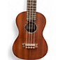 Used Cordoba Protege U1M Concert Natural Ukulele