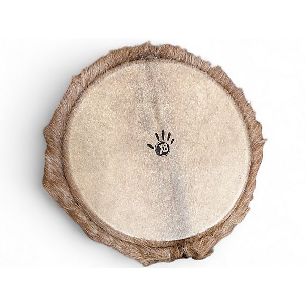 Used X8 Drums ashiko celebration 12 x 24 in Djembe