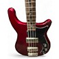 Used Epiphone NEWPORT Cherry Electric Bass Guitar