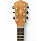 Used Washburn WCGM55K Mahogany Acoustic Guitar
