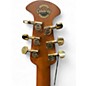 Used Ovation CE44P-FLE-G Sunburst Acoustic Electric Guitar