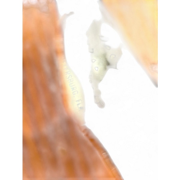 Used Docy MANDOLIN 91700 Antique Natural Mandolin