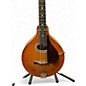 Vintage 1927 Gibson H2 Natural Mandolin