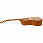Used Luna Concert Tattoo Mahogany Ukulele