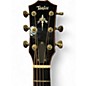 Used 2017 Taylor 914CE LTD COCOBOLA SHADED EDGE BURST Acoustic Electric Guitar