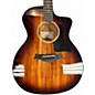 Used Taylor 224CEKDLX 2 Tone Sunburst Acoustic Electric Guitar thumbnail