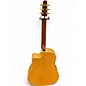Used Seagull 25th Anniverary CW Flame Maple EQ Natural Acoustic Guitar