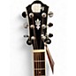 Used Ibanez AEG12IINMH Mahogany Acoustic Guitar