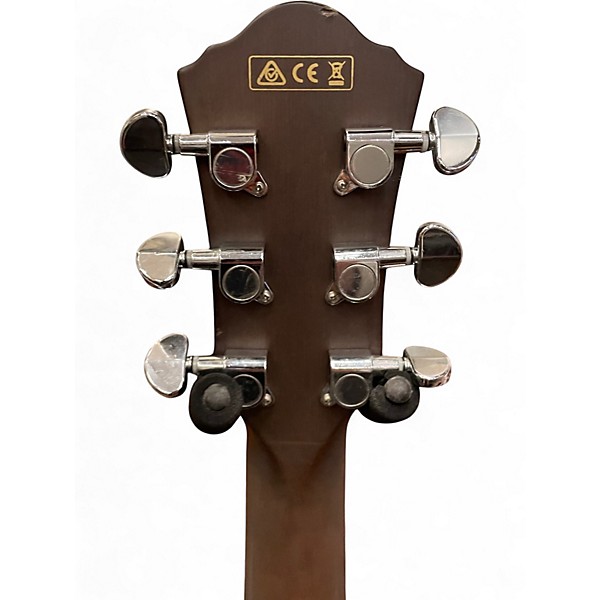 Used Ibanez AEG12IINMH Mahogany Acoustic Guitar