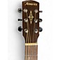 Used Alvarez AGW77CEARSHB Walnut Acoustic Electric Guitar