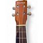 Used 2025 Cordoba PROTEGE Mahogany Ukulele