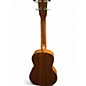 Used 2025 Cordoba PROTEGE Mahogany Ukulele