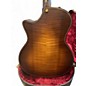 Used 2024 Taylor 614CE BUILDER'S EDITION Wild Honey Burst Acoustic Guitar