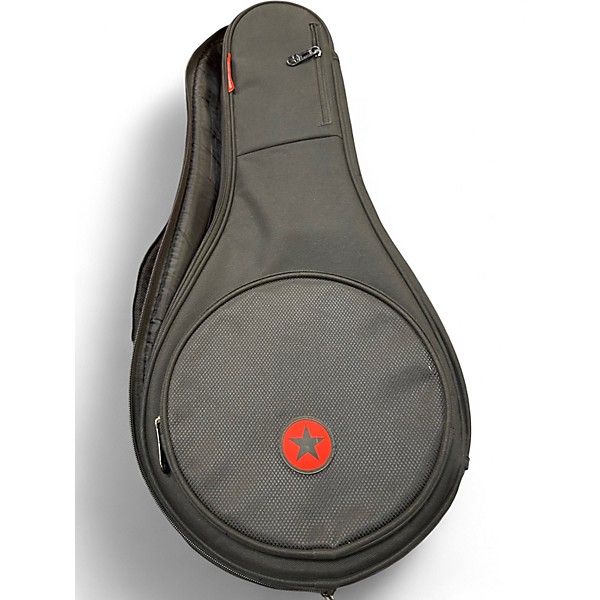 Used Washburn M1S Vintage Sunburst Mandolin