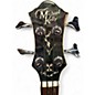 Used Michael Kelly DRAGONFLY SMOKE BURST Acoustic Bass Guitar