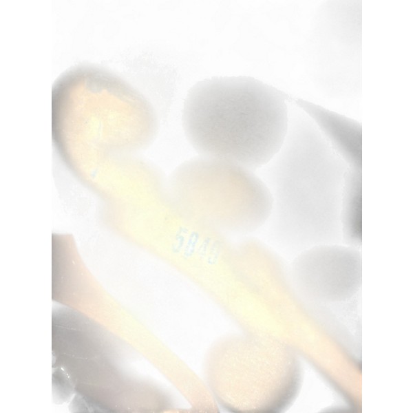 Vintage 1940s Gretsch Guitars New Yorker 6050 Natural Acoustic Guitar