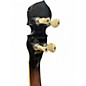 Used Gold Tone BG-Mini Natural Banjo