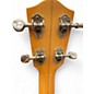 Used Tony Graziano Concert Ukulele Natural Ukulele