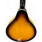 Used Hola! MANDOLIN SUNBURST Mandolin