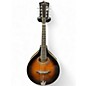 Used Gold Tone GM-50+ 2 Tone Sunburst Mandolin thumbnail