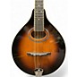 Used Gold Tone GM-50+ 2 Tone Sunburst Mandolin