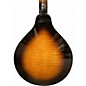 Used Gold Tone GM-50+ 2 Tone Sunburst Mandolin