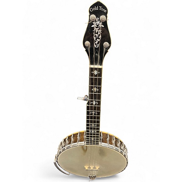 Vintage 1962 Gold Tone GEB5 Vintage White Banjo